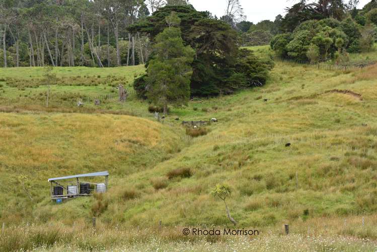 10 Te Pahi River Drive Paparoa_64