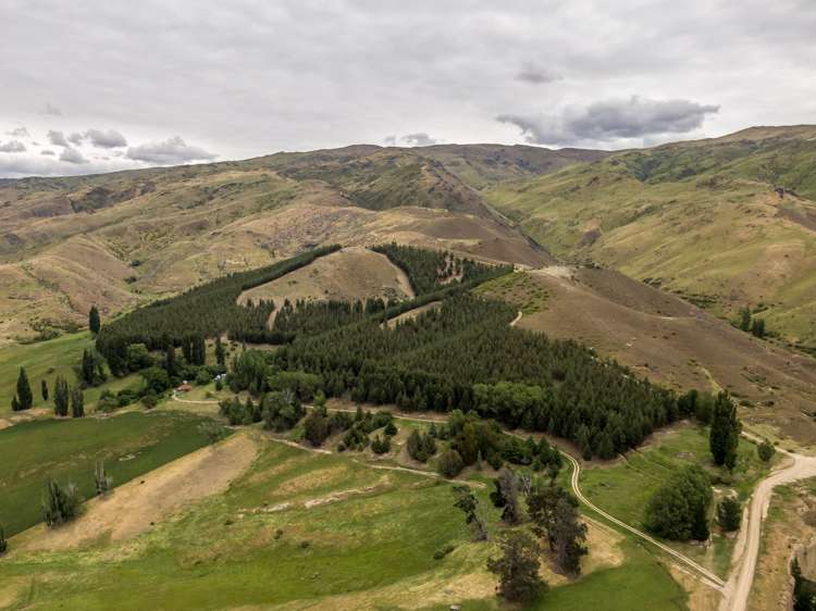 95 Quartzville Road Bannockburn_16