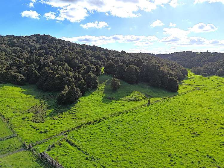 Ounuwhao Road Dargaville Surrounds_11