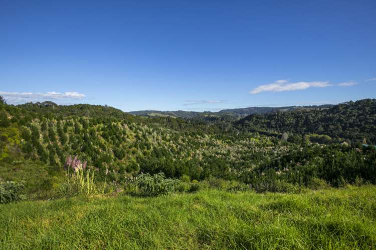 Lot 3, 163 Ahuroa Road Puhoi_16