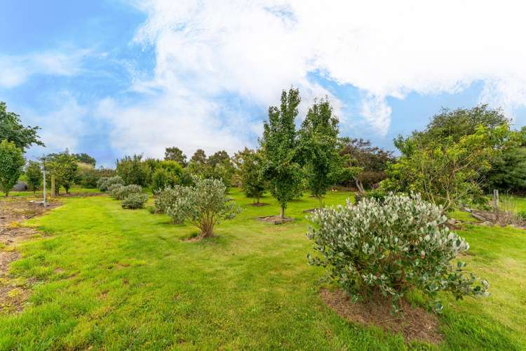 20 Willowbridge Road_5