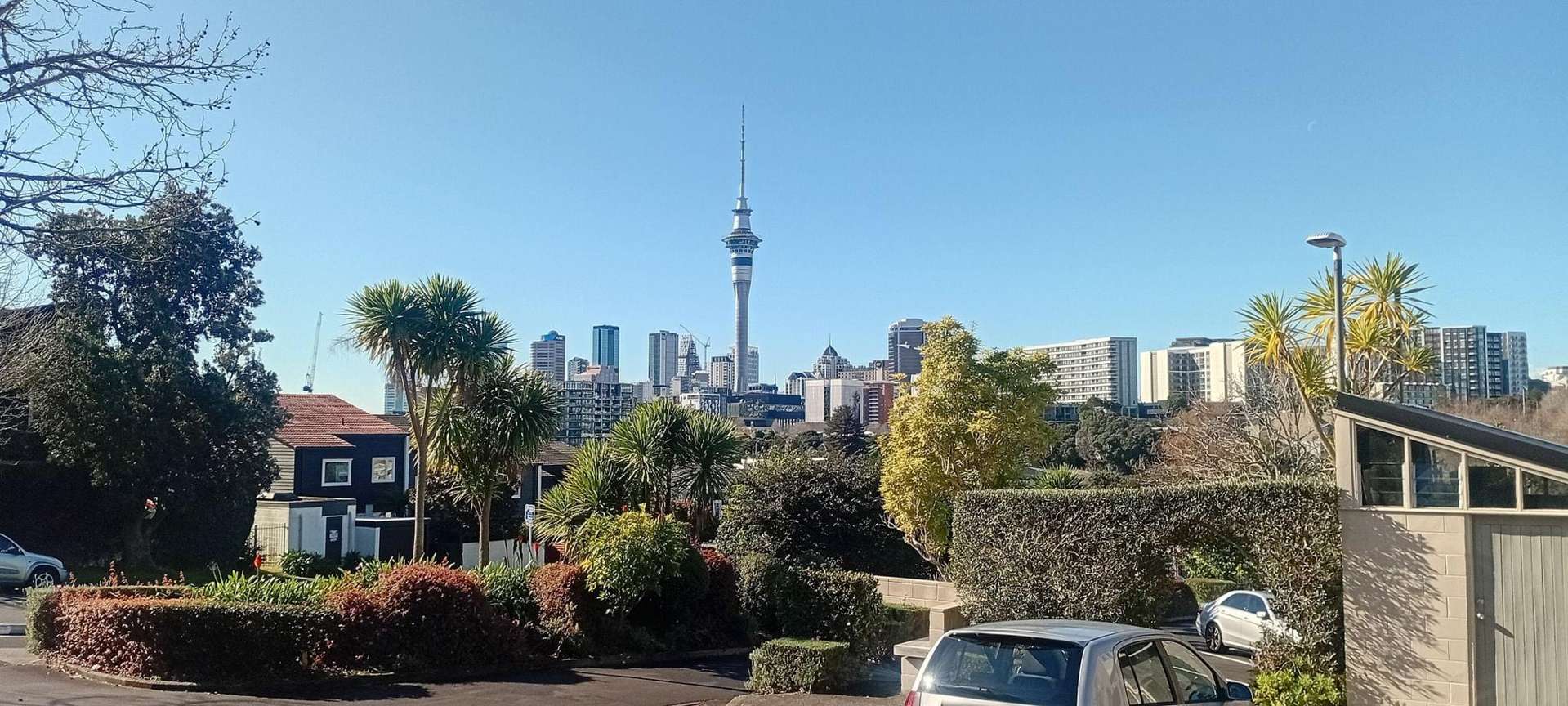 Address withheld Freemans Bay_0