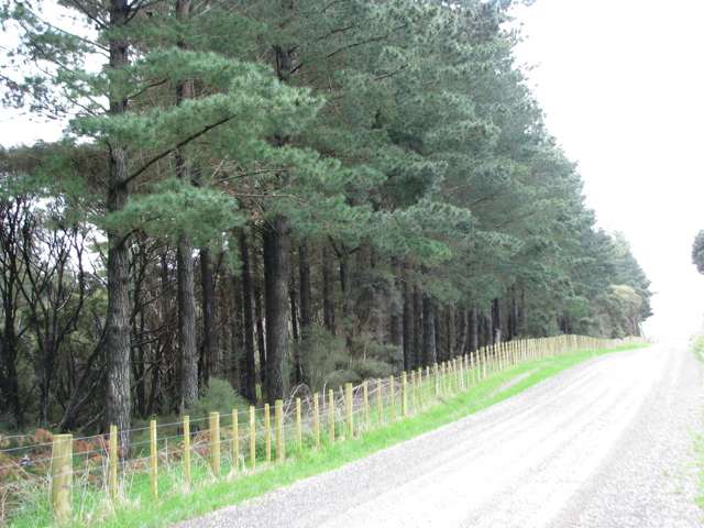 Manawa Road Tinui_1