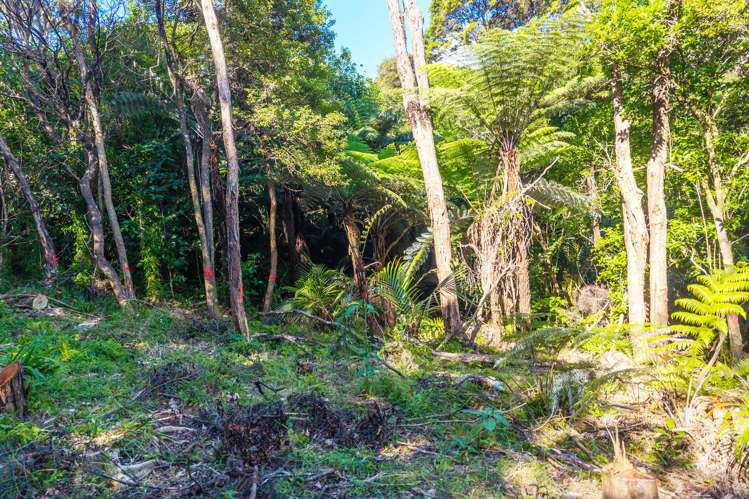 52 Glen Brook Road Omiha_8