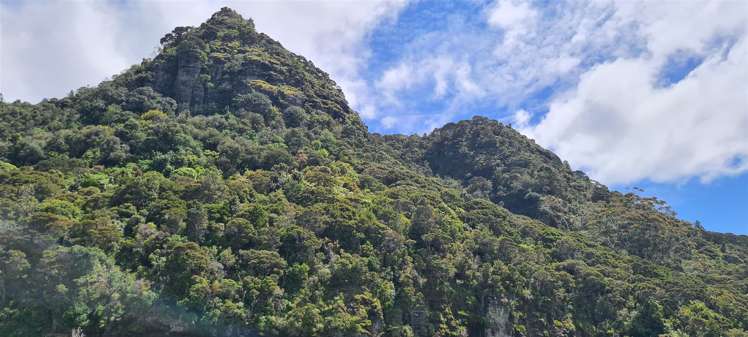 Whangaroa Road Kaeo_7