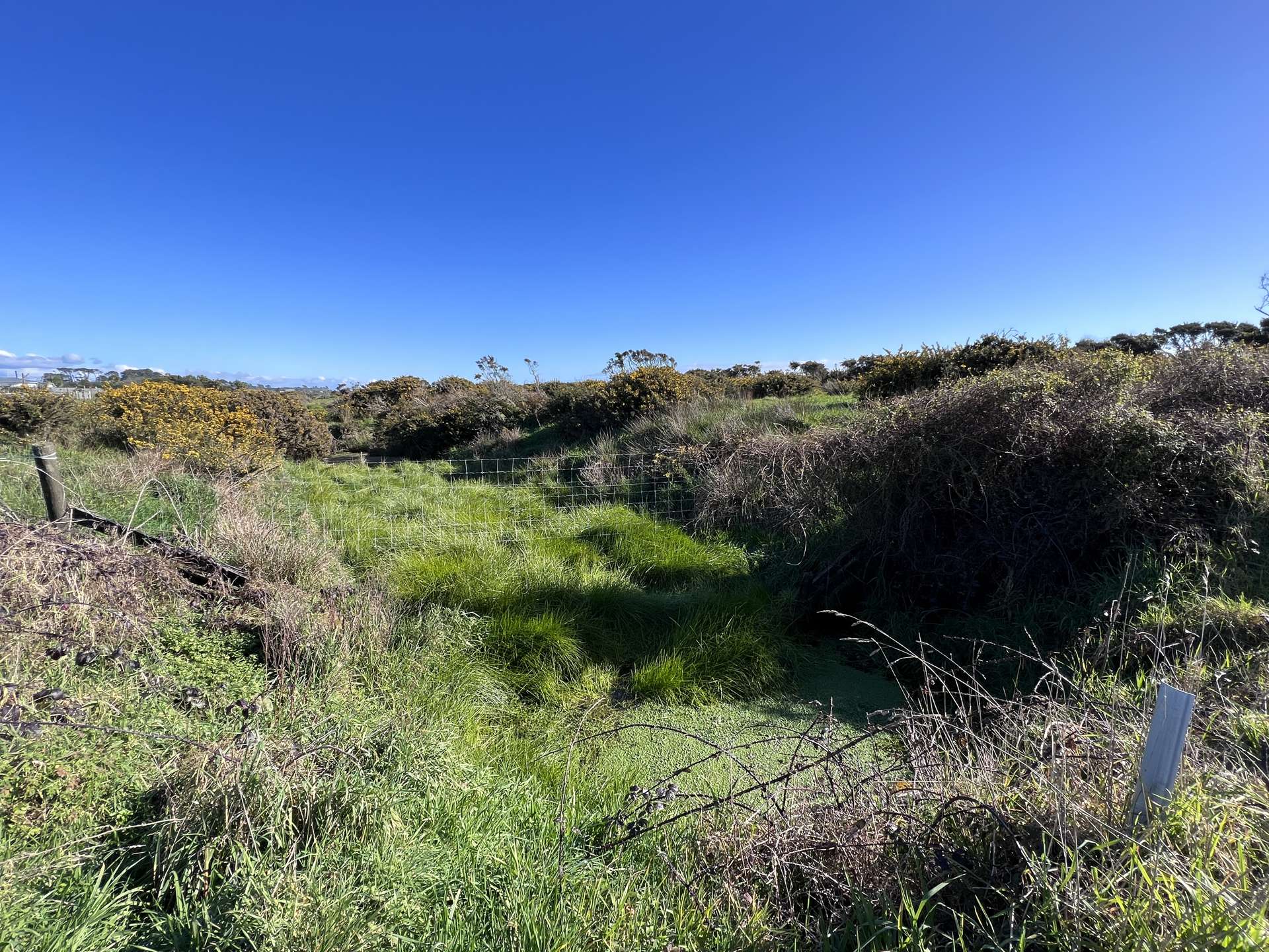 One Mile Line Road Hokitika_0