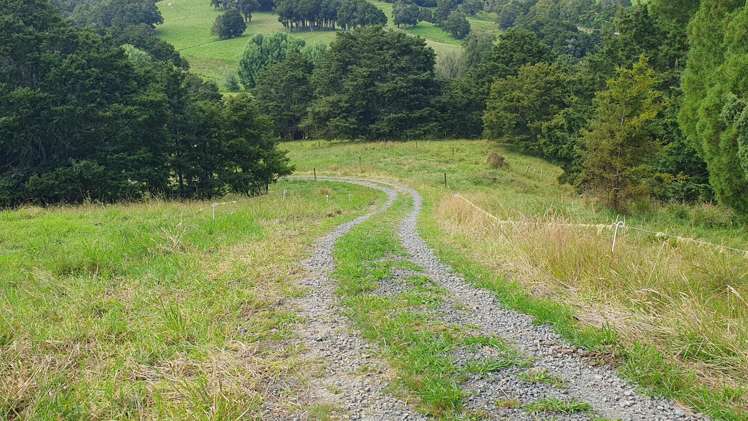 1241 Ararua Road Ararua_28