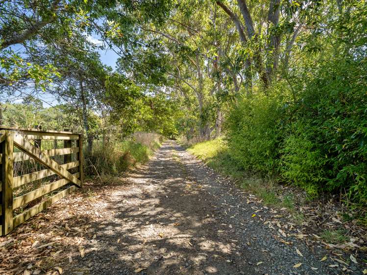 234 Muriwai Valley Road Muriwai_26