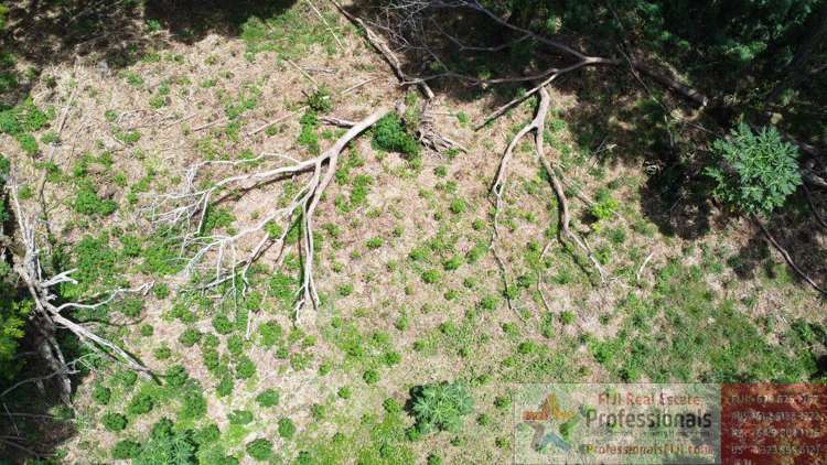 Address withheld Taveuni_17