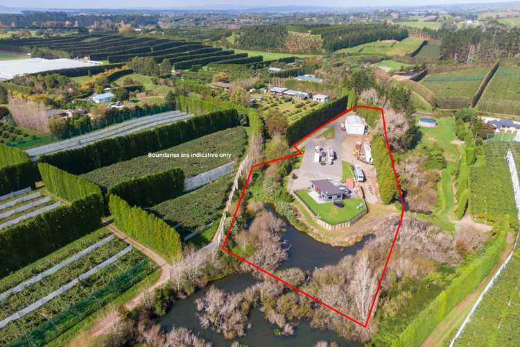 72 Lund Road Aongatete_16