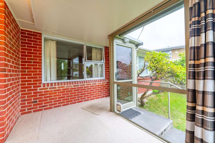 24 Puriri Street Highfield_13