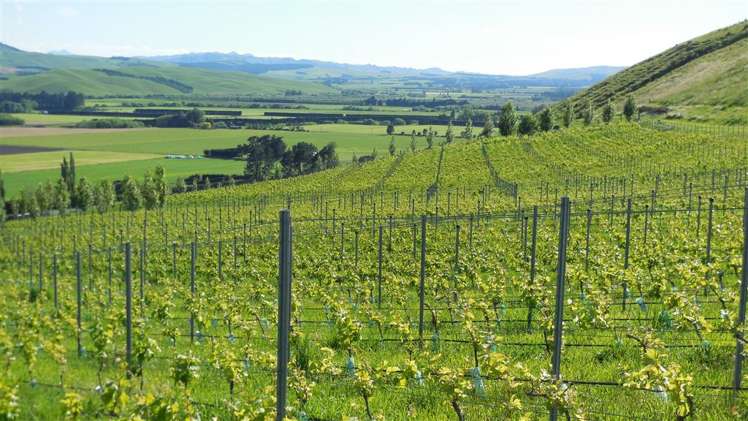 698 Omihi Road Waipara_10