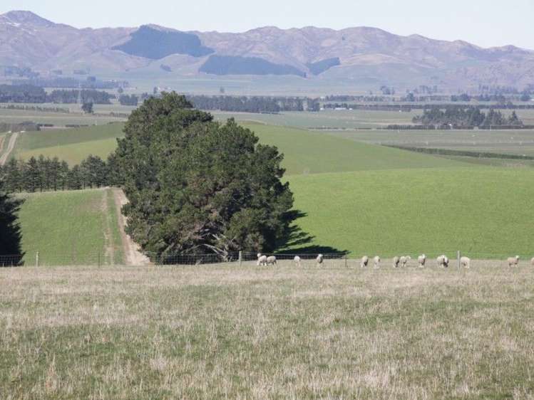 211a Mouse Point Road Culverden_15