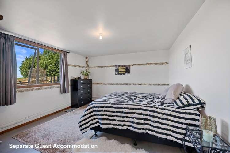 63 Jean Mackay Place Dairy Flat_25