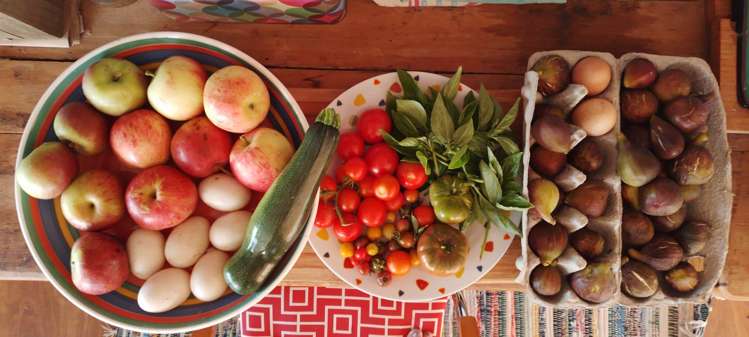 62 Kaitoke Lane Great Barrier Island_6