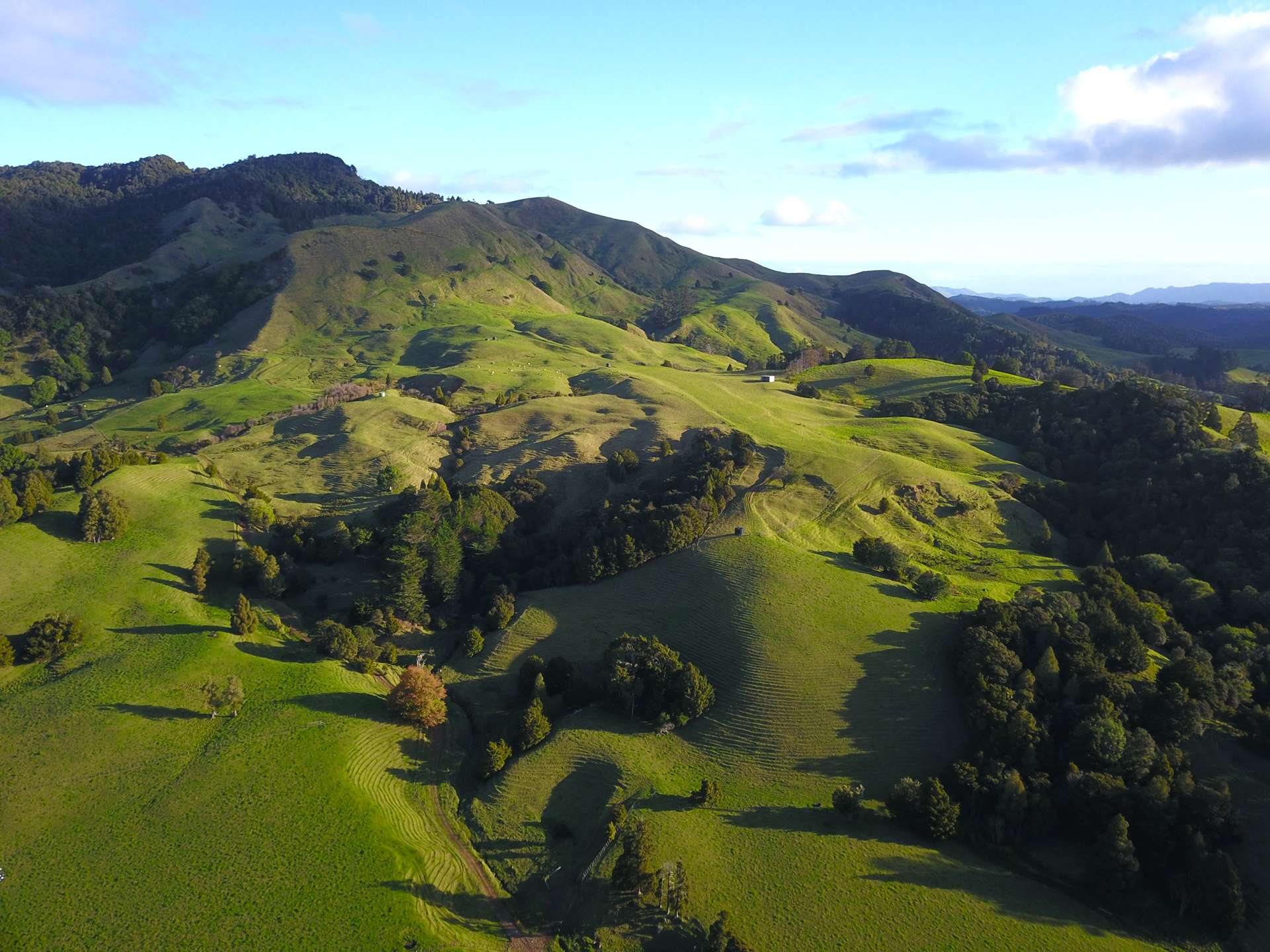 92 Takahue Saddle Road Takahue_0