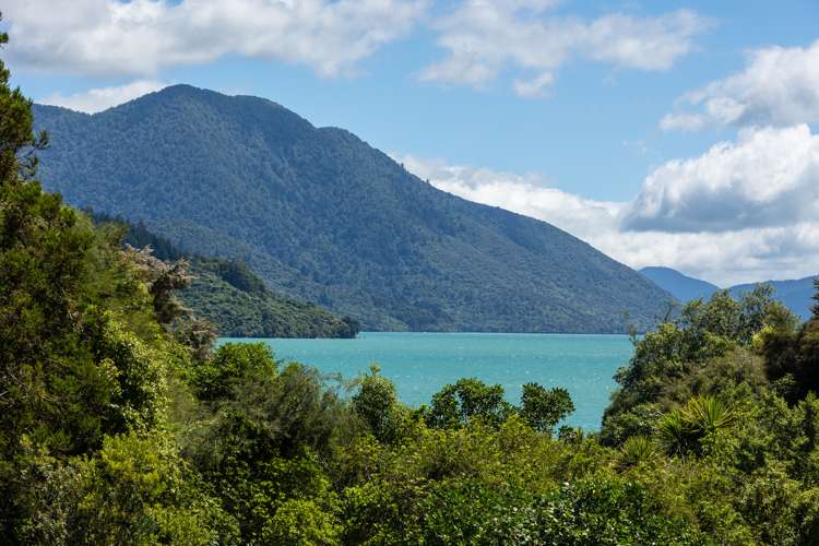 236 Moetapu Bay Road Anakiwa and Surrounds_16