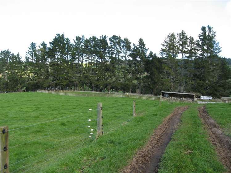 176 Kumikumi Road Kaimai_14