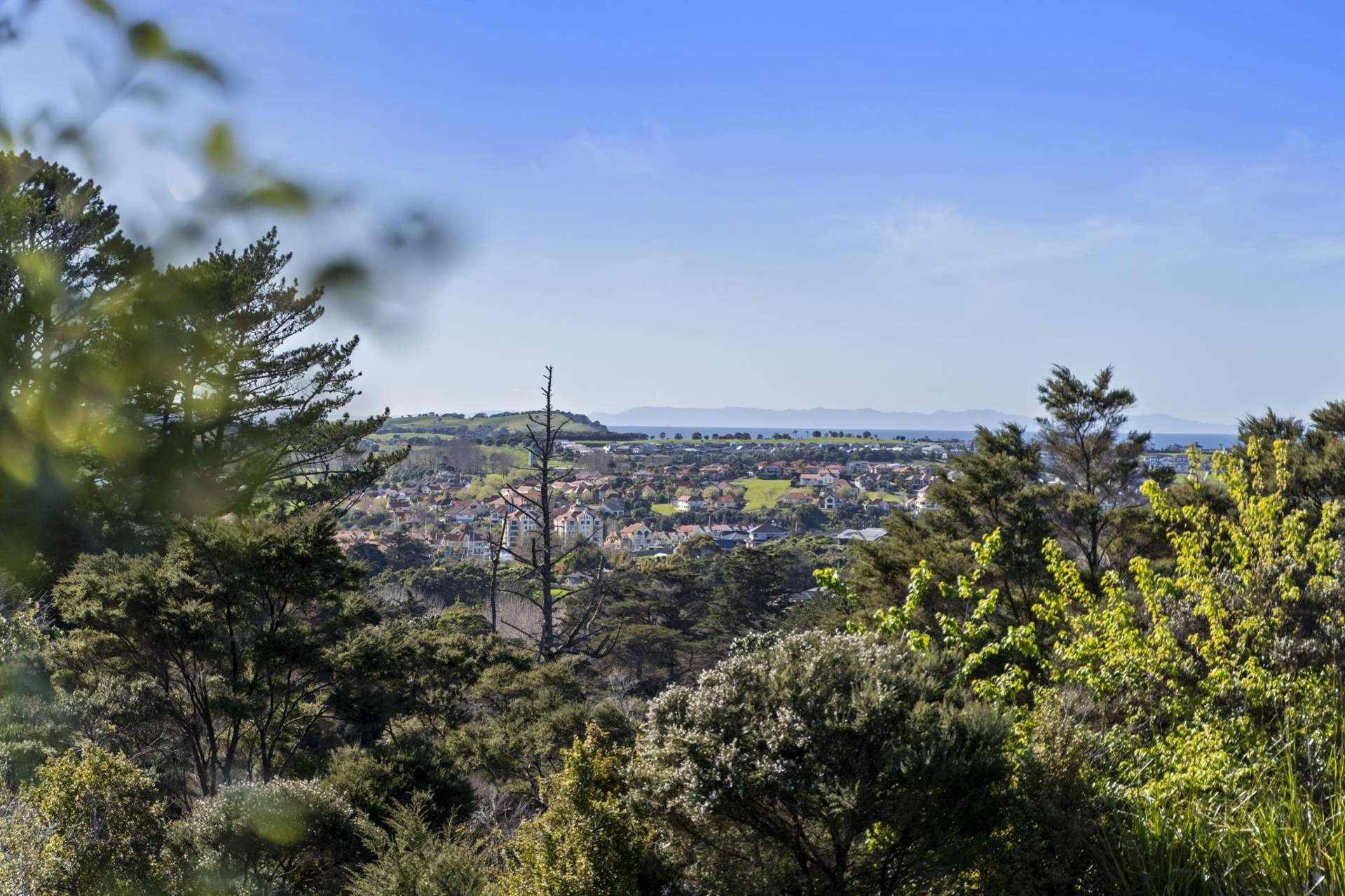 1119b Whangaparaoa Road Tindalls Beach_0