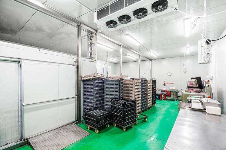 Unit 3/33-35 Waipareira Avenue Henderson_6