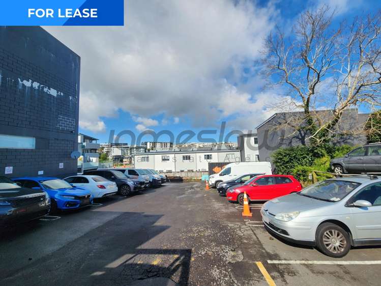Left Front/111 Newton Road Eden Terrace_10