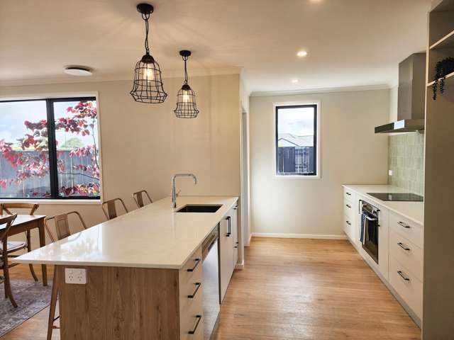 47 Metoriti Crescent Karaka_4