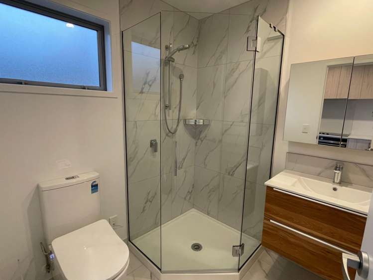  19 Winchester Street Merivale_4