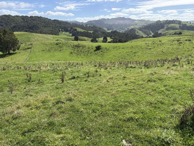 Paraketu Road Waimiha_15