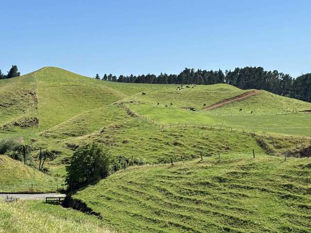 Lot 3 / 229 Hurford Rd Omata_3