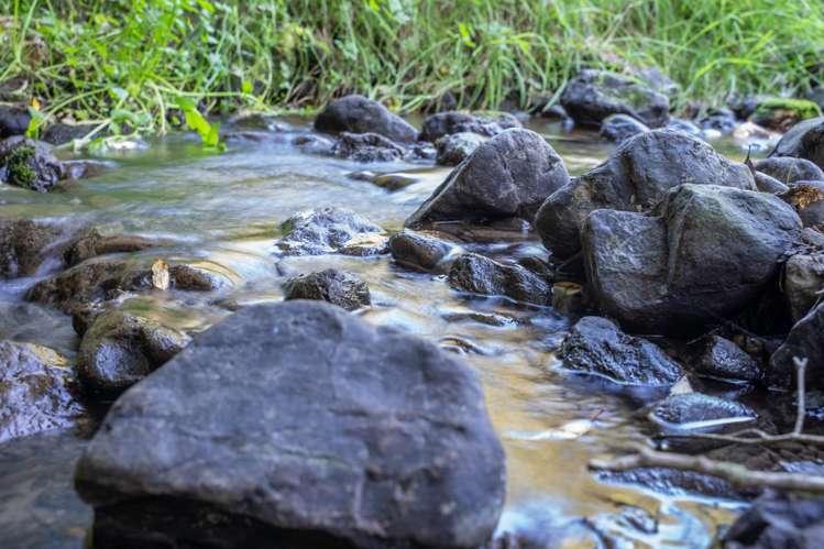 358 Kuku East Road Manakau_6