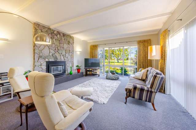 104 Freyberg Avenue Tamatea_2