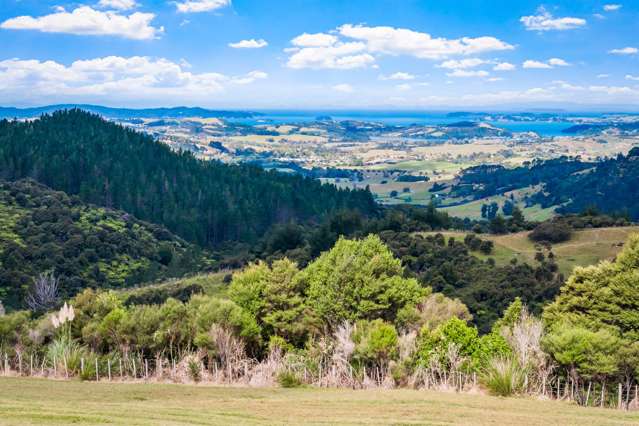 Lot 3/181C Govan Wilson Road Matakana_4