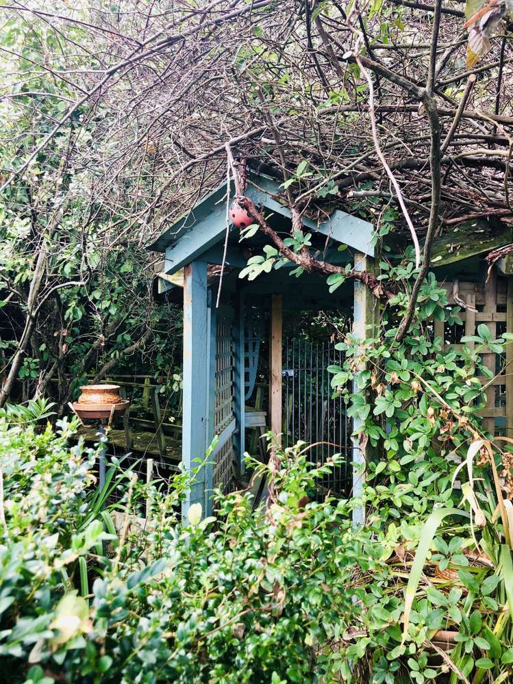 21a Arapuni Road Arapuni_8