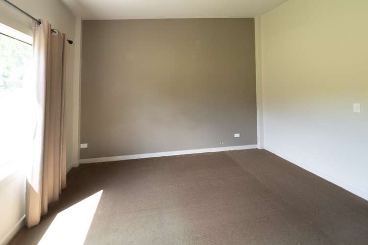 273 Wilkins Road Tinwald_31