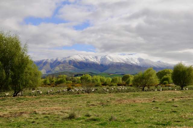 307 McHenrys Road Kurow_1