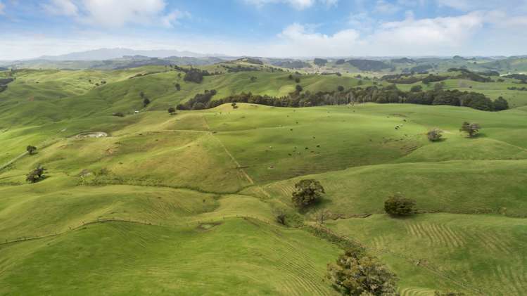 359 Arapohue Road Dargaville Surrounds_18