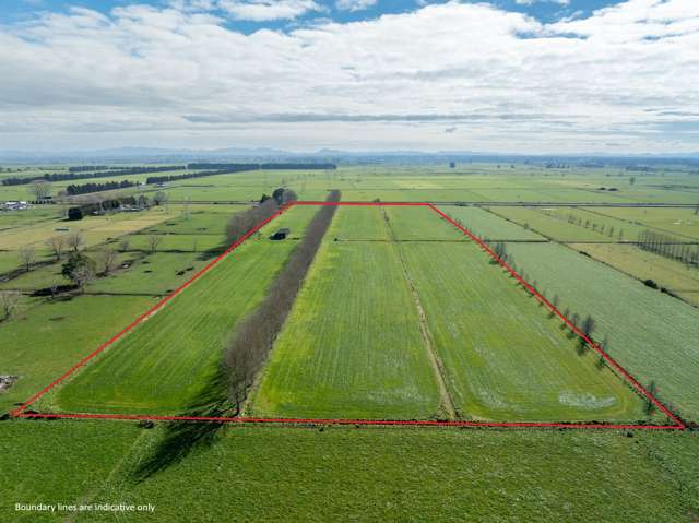 258 Holland Road Puketaha_2