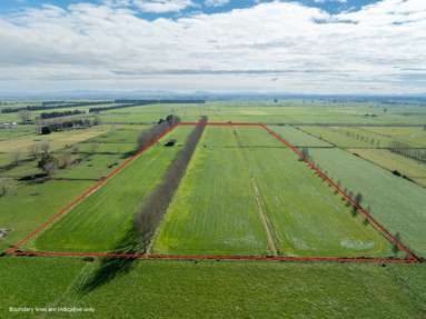 258 Holland Road_2