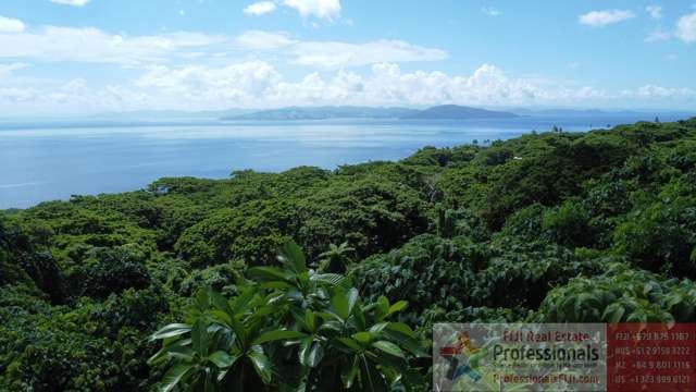 ️ Massive Views From This Lush Freehold Lot On Taveuni Island!
