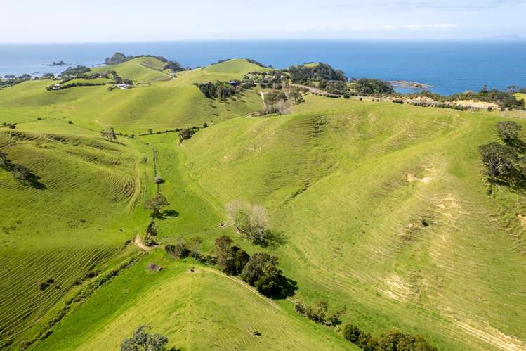Lot 1 Rockell Road Whananaki_9
