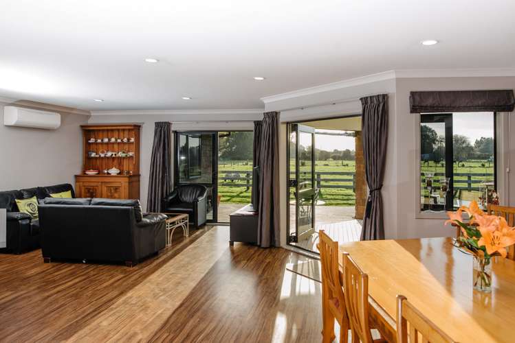 621d Marychurch Road Matangi_18