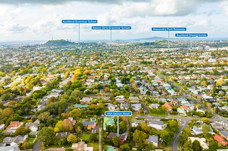 44a Selwyn Road Epsom_22