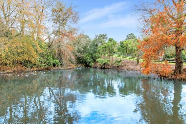 Woodlyn Drive Karaka_1