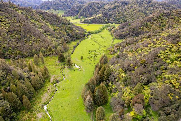 3133 Mokau Road Mokau_12