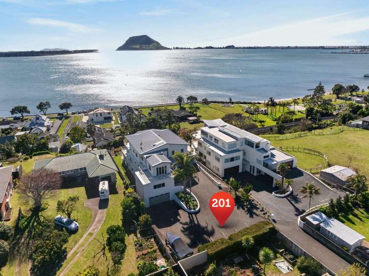 201A Ngatai Road Otumoetai_0