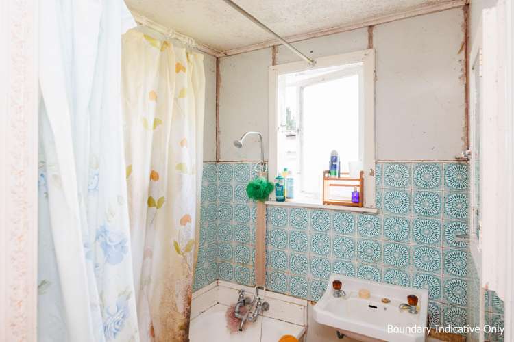 19 Mahoe Street Levin_9