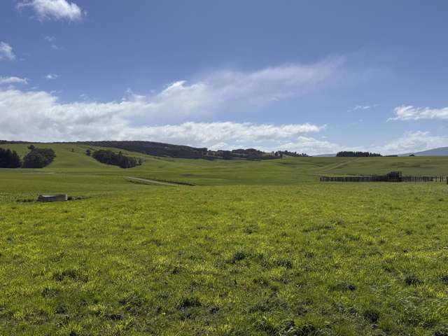 85 Allan Road Otautau_4