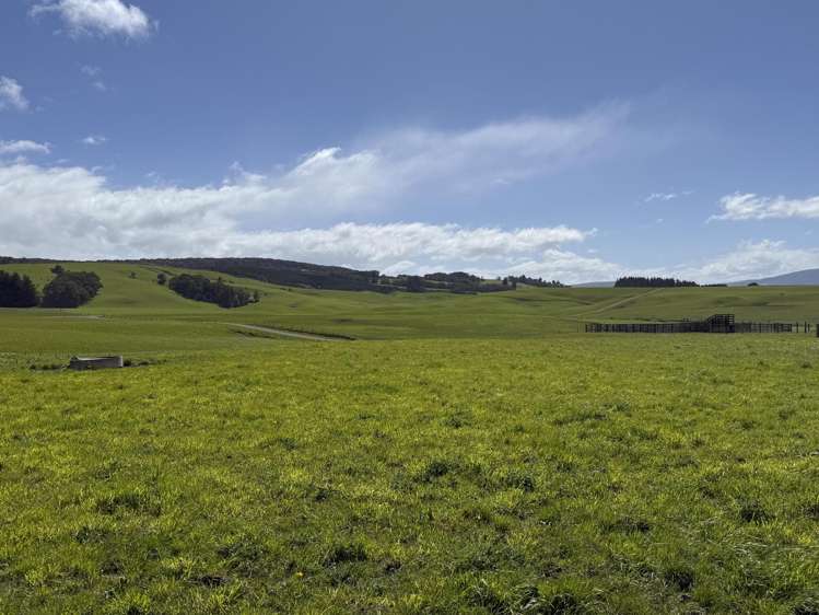 85 Allan Road Otautau_4