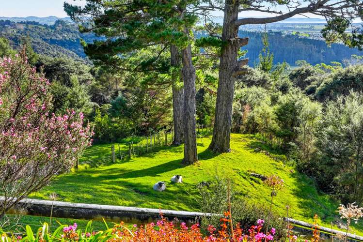 397 Wishart Road Helensville_26