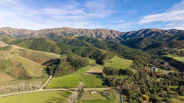 501 Upper Hook Road Hunter_28